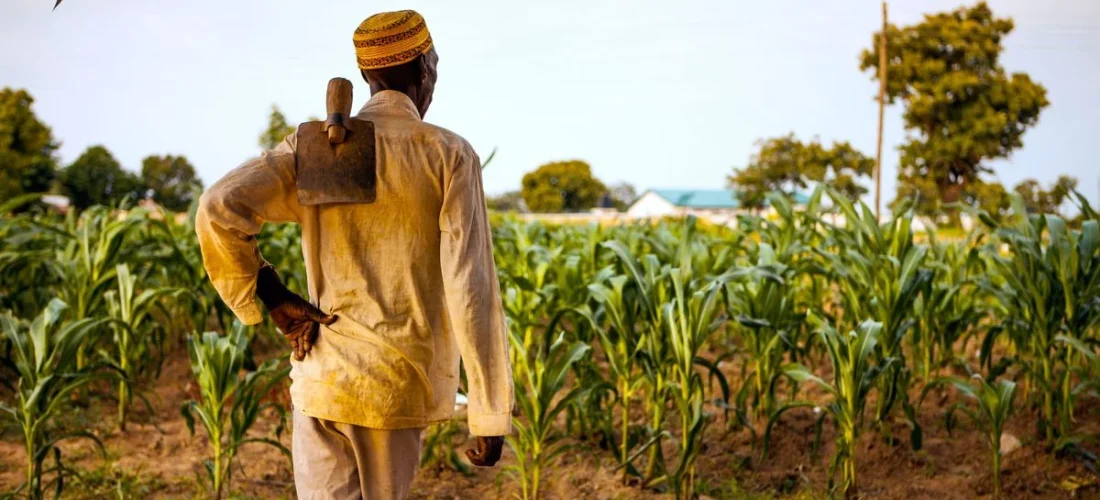 Sustainable Farming Practices with Tractor Corner Guyana - Tips and Insights