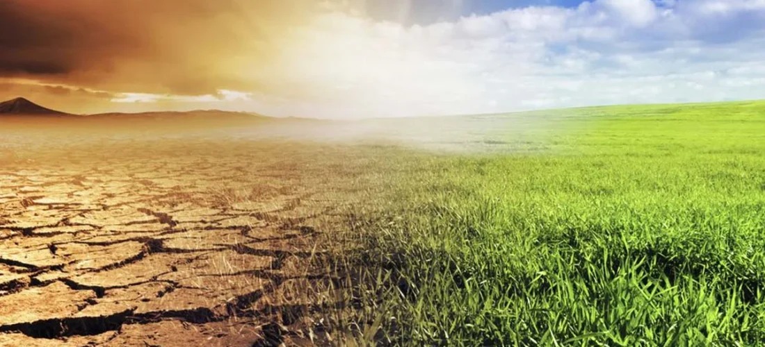 How Climate Change is Reshaping Farming in Jamaica