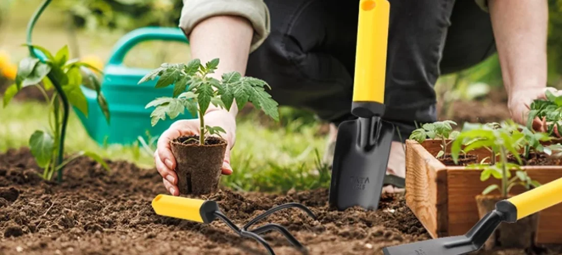 Top 5 Must-Have Tools for Every Jamaican Farmer
