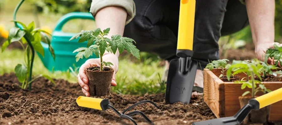 Top 5 Must-Have Tools for Every Jamaican Farmer