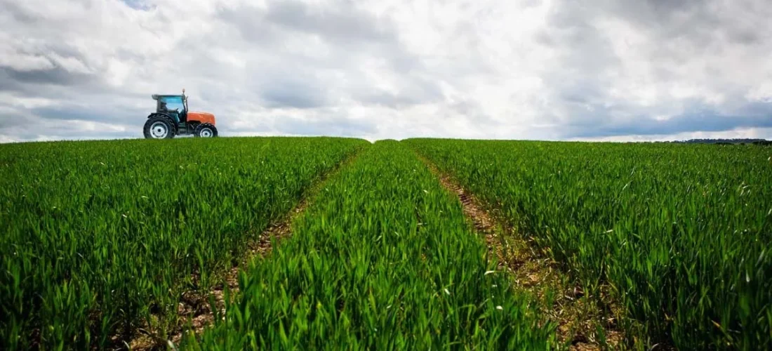 Top Farming Tips for Farmers in Trinidad and Tobago